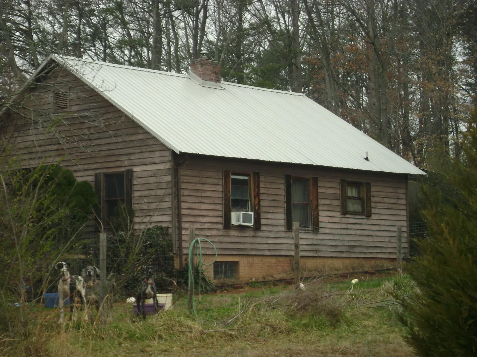 White metal roof on an old wood sided farmhouse, from a Asphalt Shingle Roof Repair job in Bellingham
